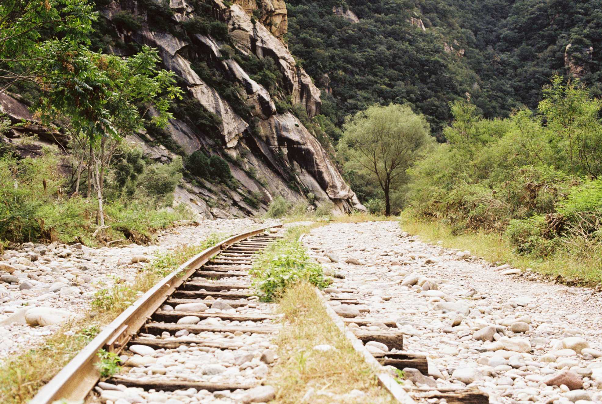 Miscellaneous photograph